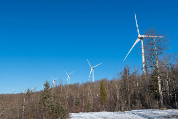 Bear Mountain Windpark