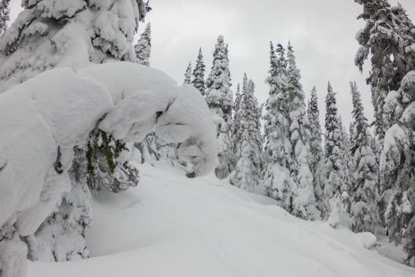 Powder King Mountain