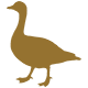 Gans