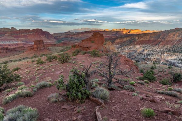 Capitol Reef Nationalpark