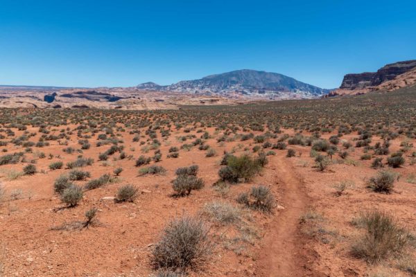 Weg zum Reflection Canyon