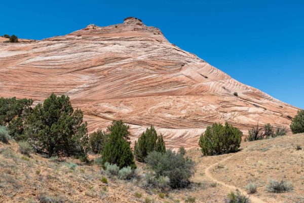 Weg zum Zebra Slot Canyon