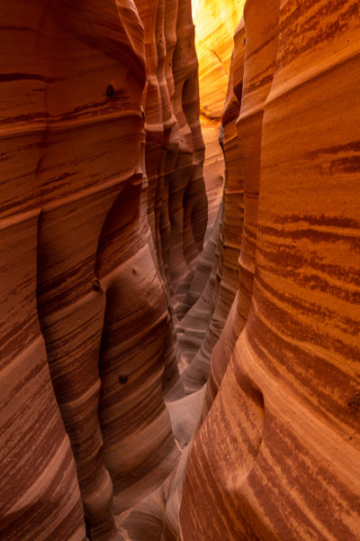 Zebra Slot Canyon