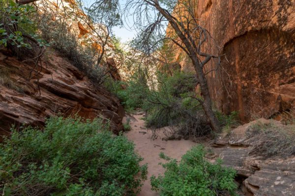 Tunnel Slot Canyon