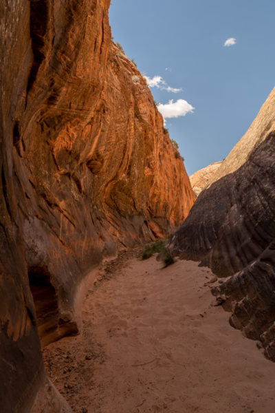 Tunnel Slot Canyon