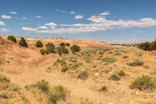 Weg zum Zebra Slot Canyon