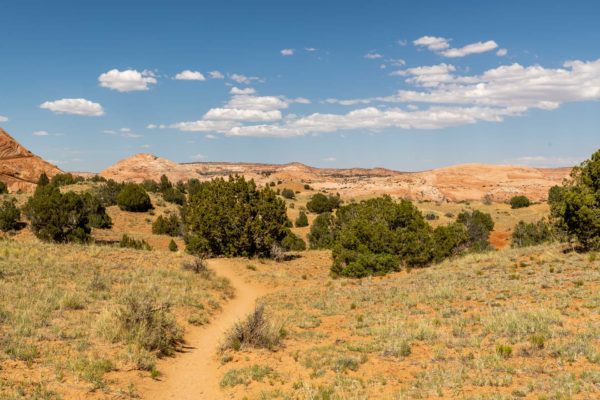 Weg zum Zebra Slot Canyon