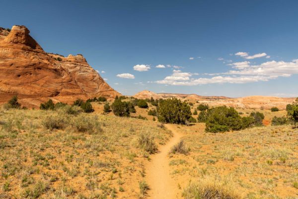 Weg zum Zebra Slot Canyon