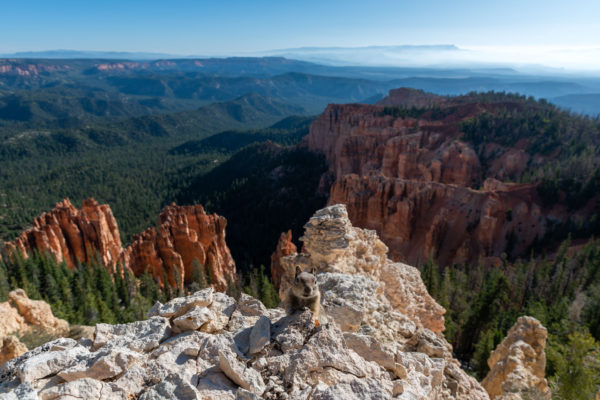 Bryce Canyon