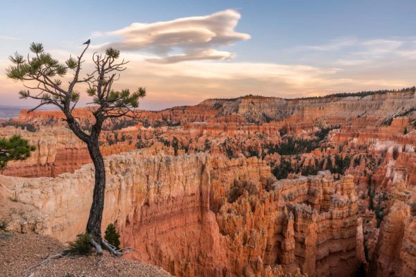 Bryce Canyon