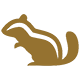 Streifenhörnchen