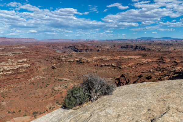 White Rim