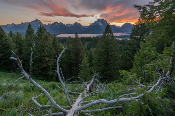 Grand Teton