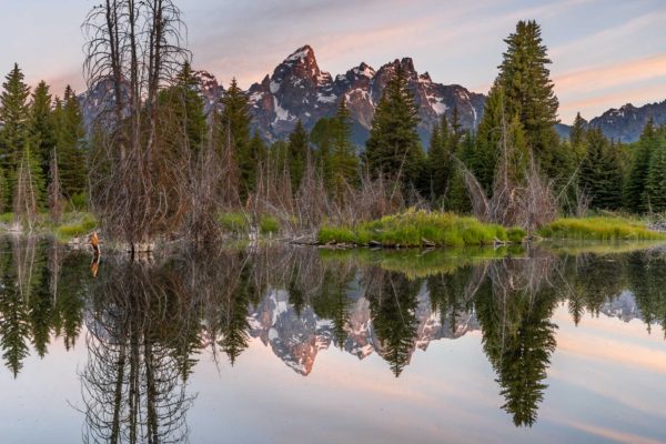 Grand Teton