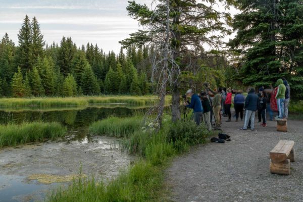 Fotografen in Schwabacher Landing