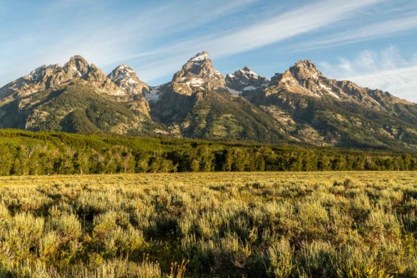 Grand Teton