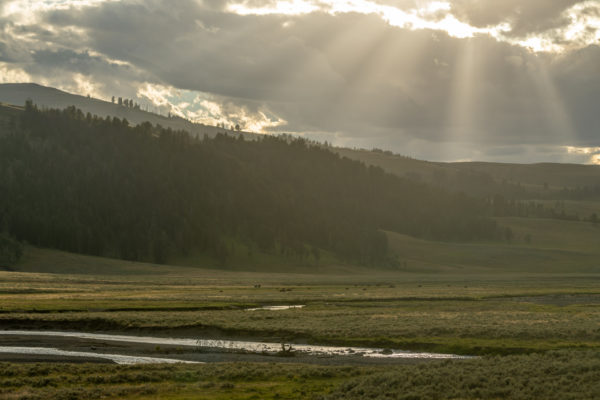 Lamar Valley