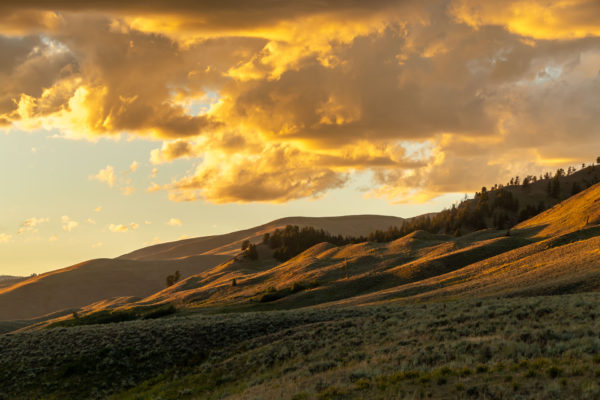 Lamar Valley