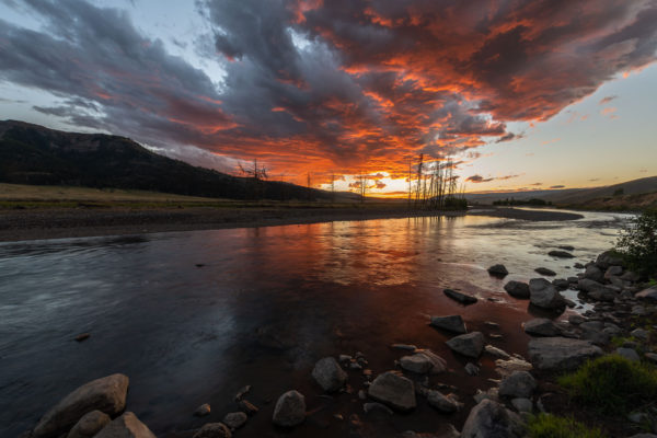 Lamar Valley