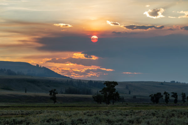 Lamar Valley