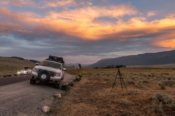 Typisches Bild im Lamar Valley