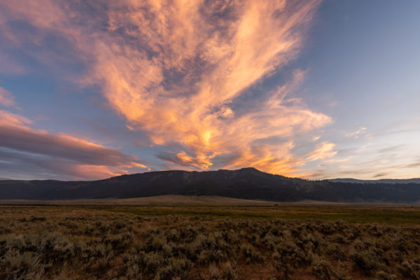 Lamar Valley