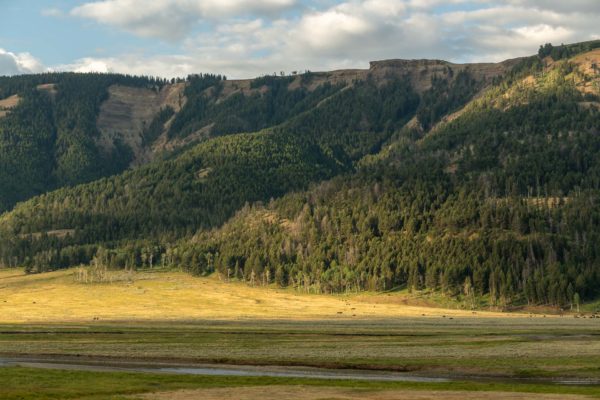 Lamar Valley