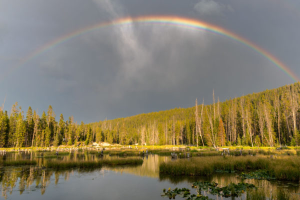 Regenbogen in den Sawtooth Mountains