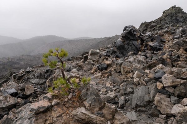 Big Obsidian Flow