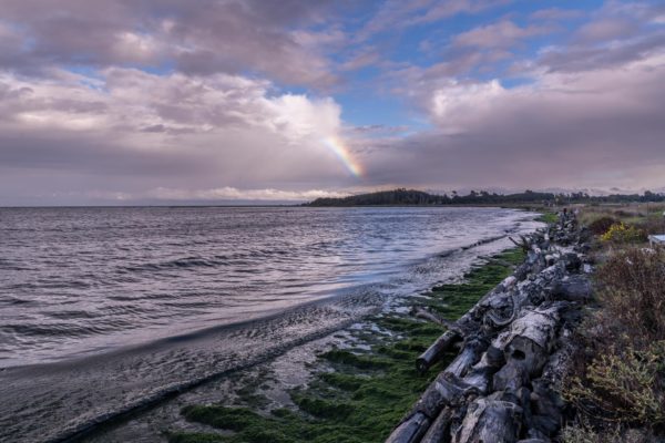 Dungeness Bay