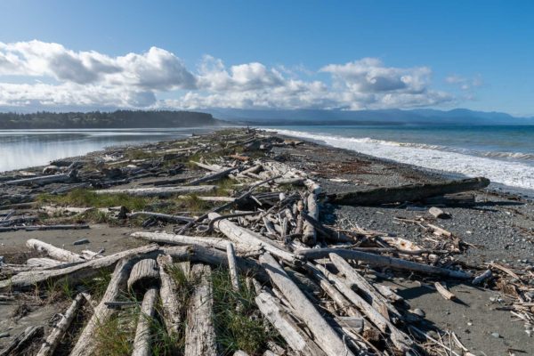 Dungeness Spit