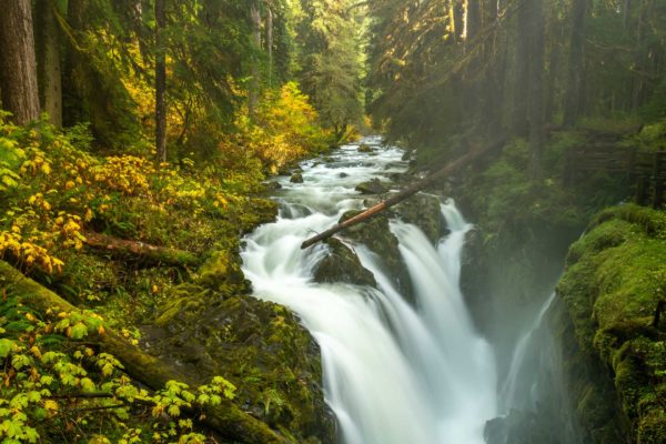 Sol Duc Falls