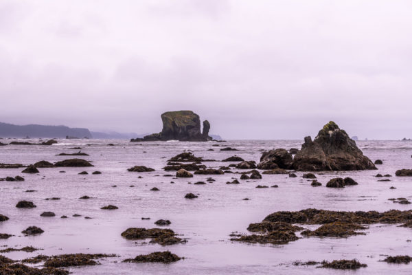 Cape Alava