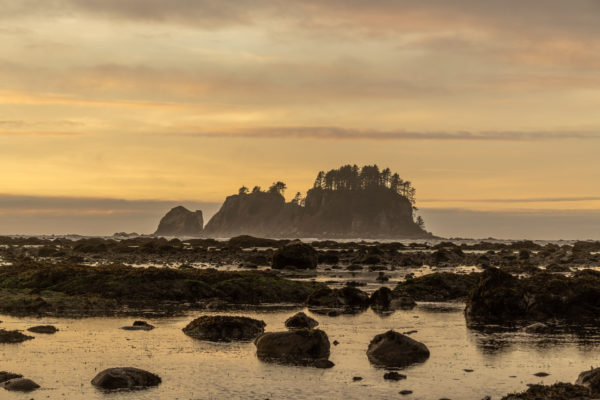 Cape Alava