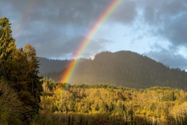 Regenbogen über dem Hoh Rain Regenwald