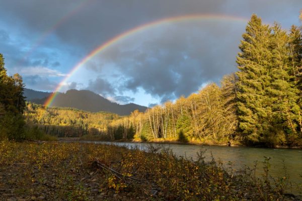 Regenbogen über dem Hoh Rain Regenwald