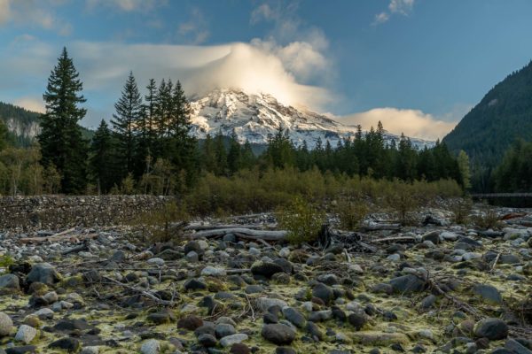 Mount Rainier 4