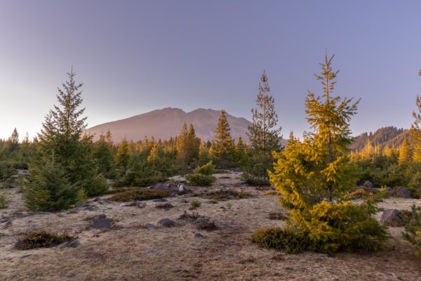 Mount St. Helens 2