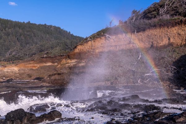 wilde Pazifikküste in Oregon