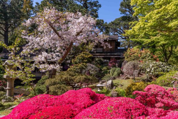 Japanischer Garten