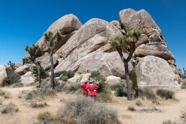 Joshua Tree Nationalpark