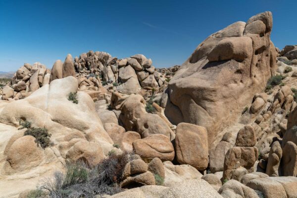 Joshua Tree Nationalpark