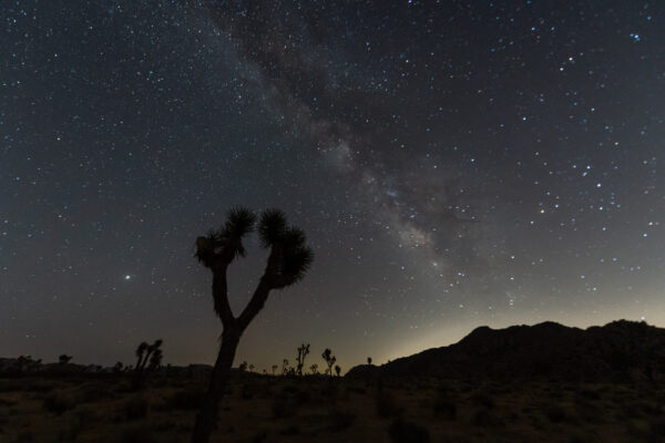 Milchstrasse über dem Joshua Tree Nationalpark