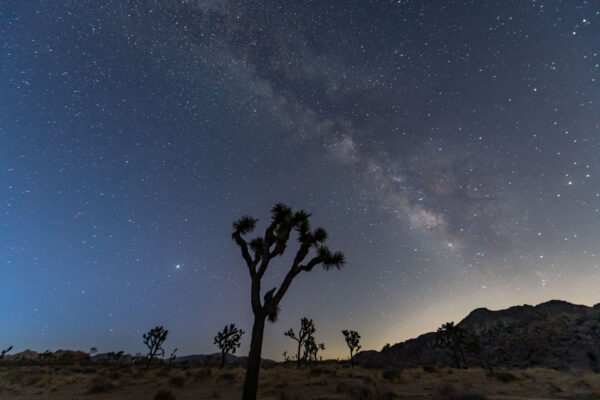 Milchstrasse über dem Joshua Tree Nationalpark