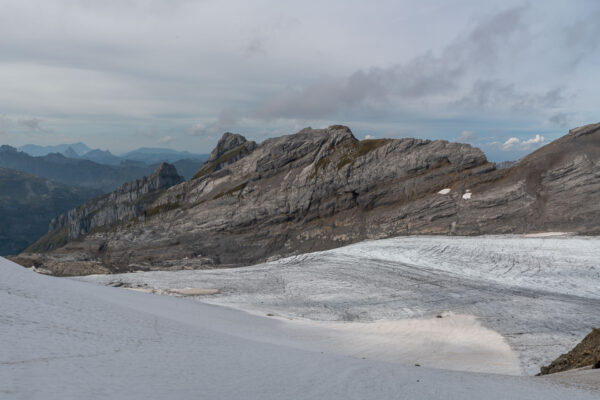 Glärnischfrin