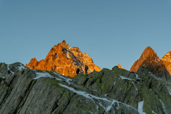 Salbitschijen