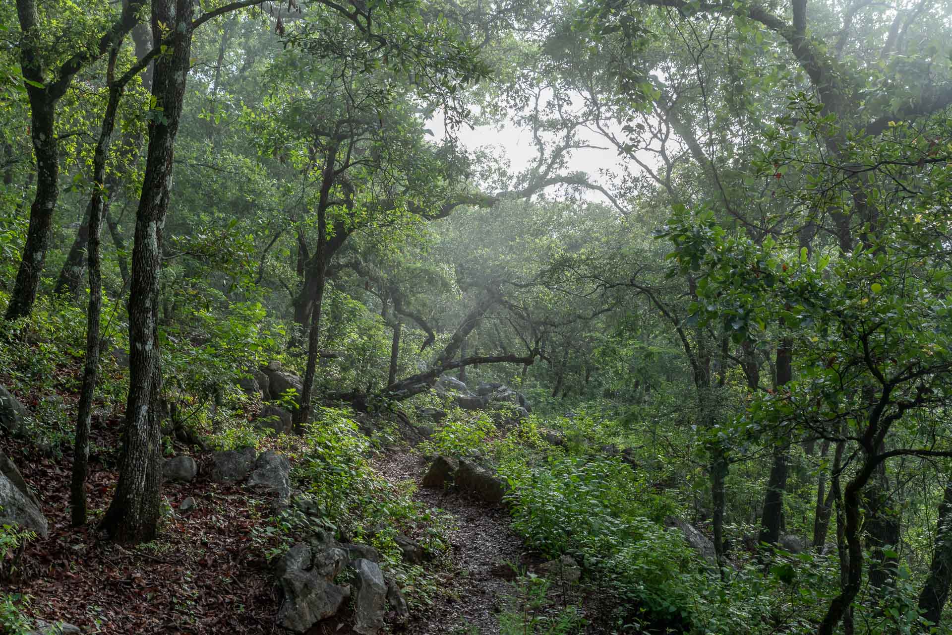 Der Weg zur Sótano del Barro