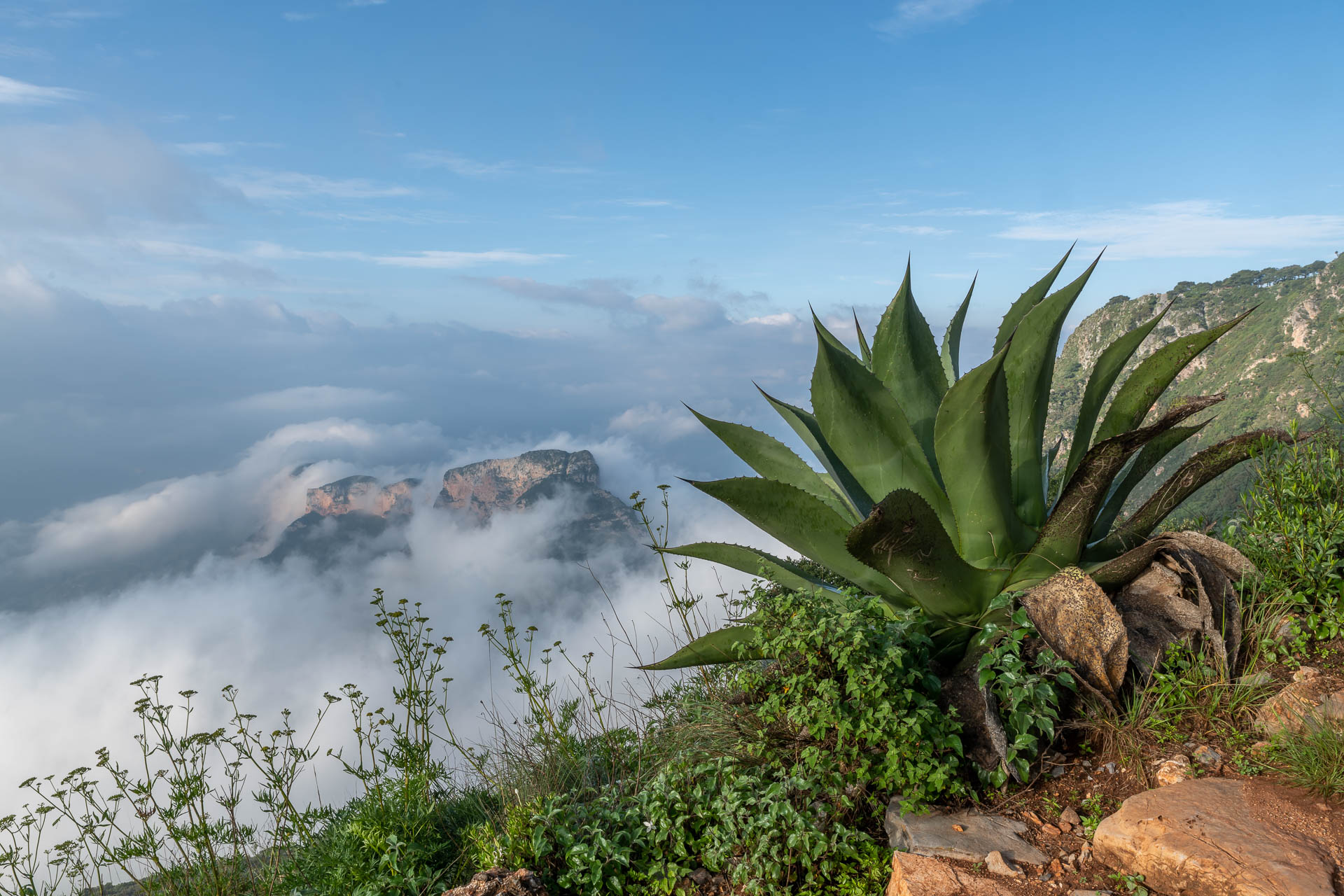 Mirador de Cuatro Palos