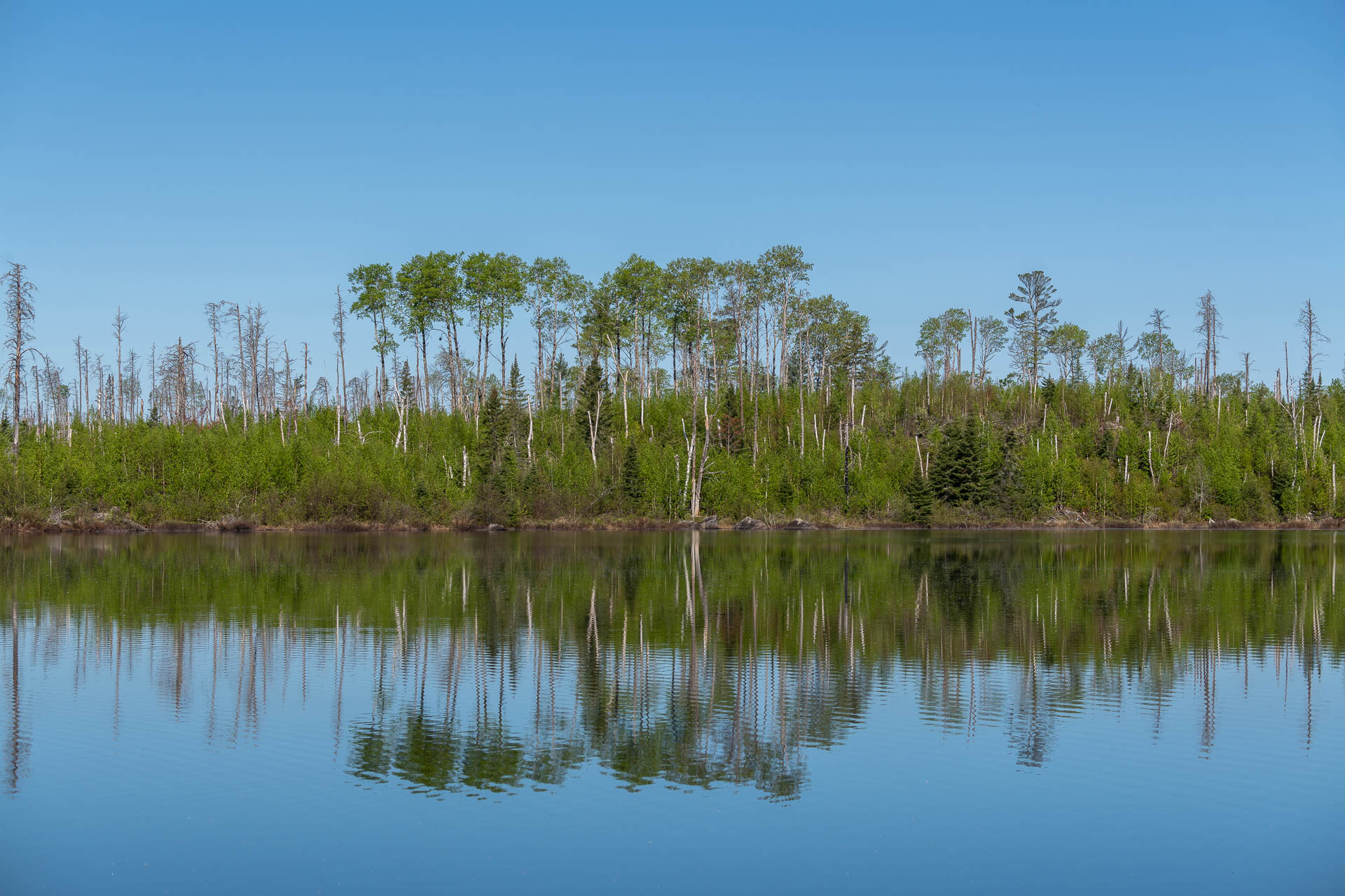 Boundary Waters