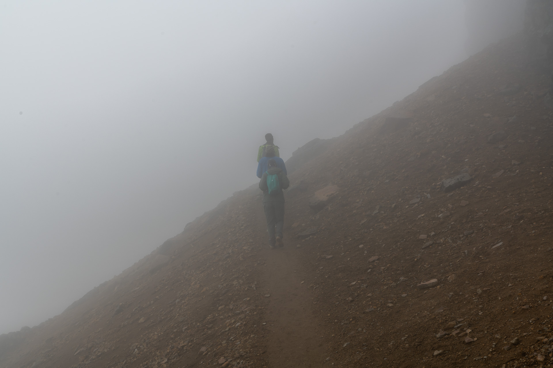 Wir wandern in den Nebel